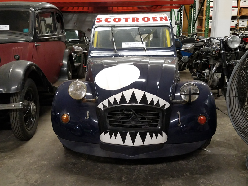 Rawr!